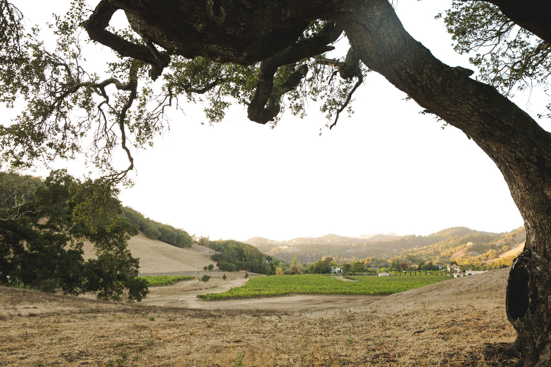 Grieve Family Estate, Lovall Valley